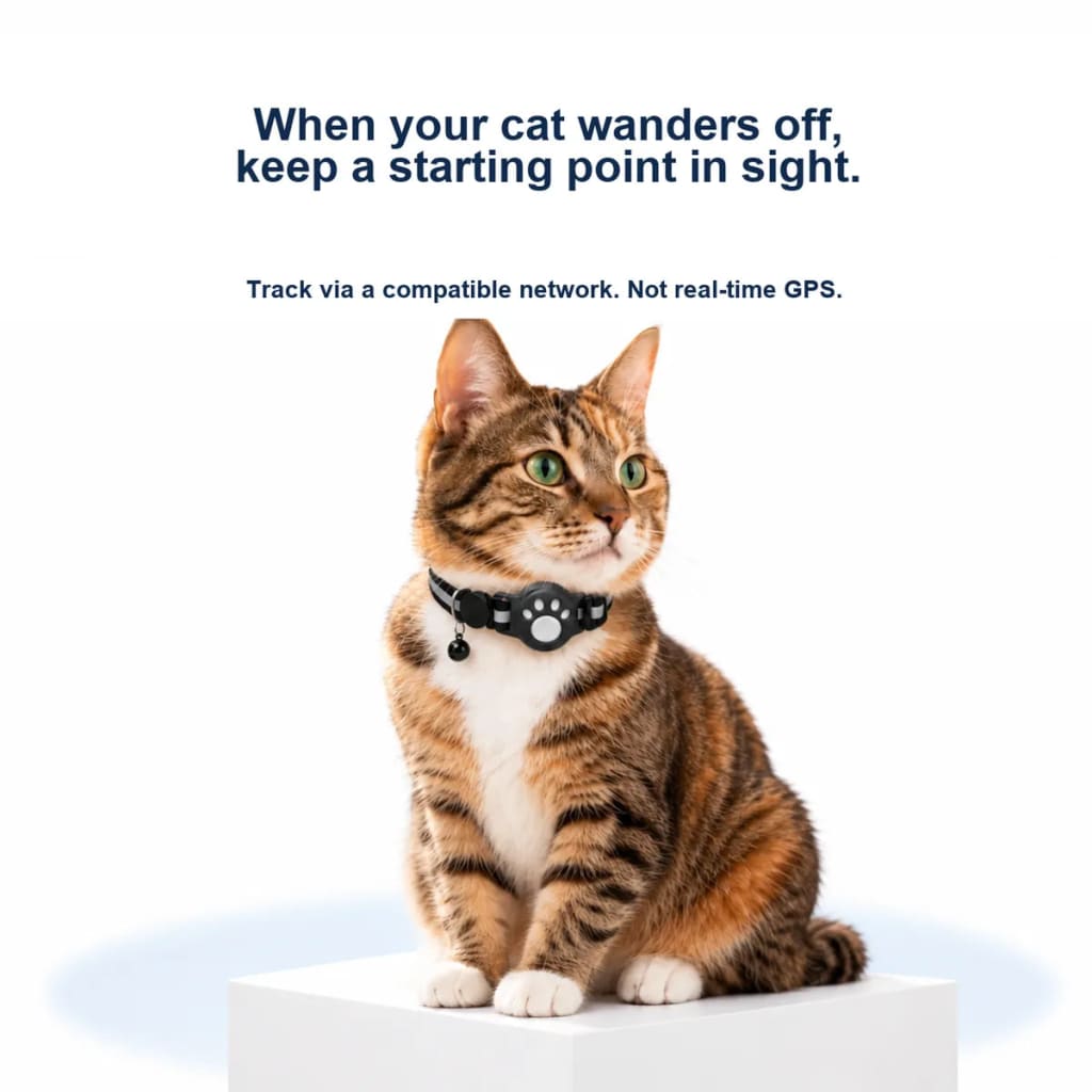 GPS Cat Collar Reflective Adjustable